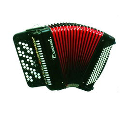 鹦鹉乐器产品中心 匠心传承，奏响艺术新篇章