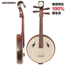 中阮选购指南 最新产品参考与乐器特性解析